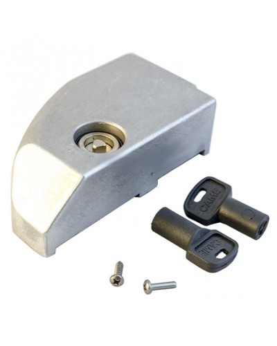 Дверца замка разблокировки BK Came 119RIBK012 в Прокопьевске Запчасти для шлагбаумов и автоматики Pintop.ru