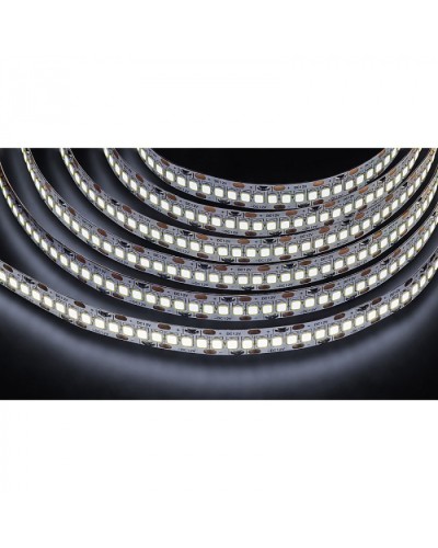 Лента светодиодная Navigator 14 459 NLS-2835CW240-24-IP20-12V в Прокопьевске Источники света(Лампы) Pintop.ru