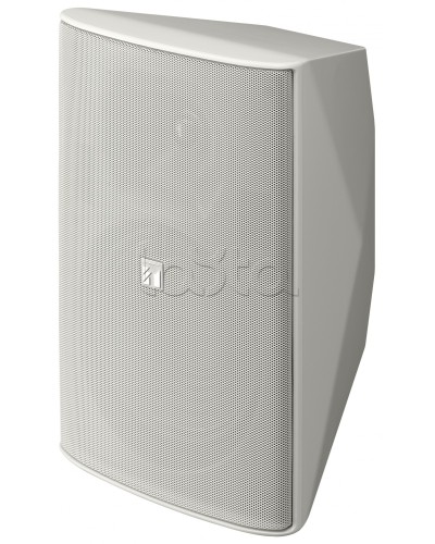 Громкоговоритель 2 полосный TOA F-2000 WTWP в Прокопьевске Системы оповещения и трансляции TOA Pintop.ru