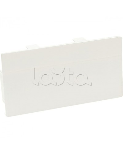 Заглушка торцевая для кабельного канала 100х50 SPL 100002S в Прокопьевске Аксессуары для кабель-канала Pintop.ru