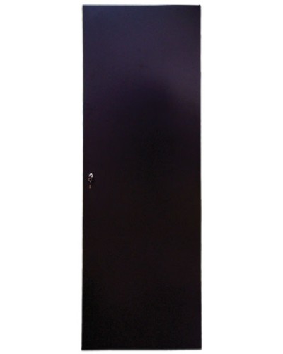 Дверь задняя для шкафов серии Business металл, 42U, ширина 800 мм TWT TWT-CBB-DRM1-42U-8 в Прокопьевске Аксессуары для стоек и шкафов Pintop.ru