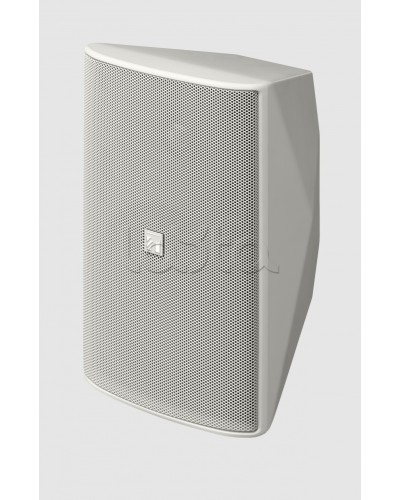 Громкоговоритель 2 полосный TOA F-1300WT в Прокопьевске Системы оповещения и трансляции TOA Pintop.ru