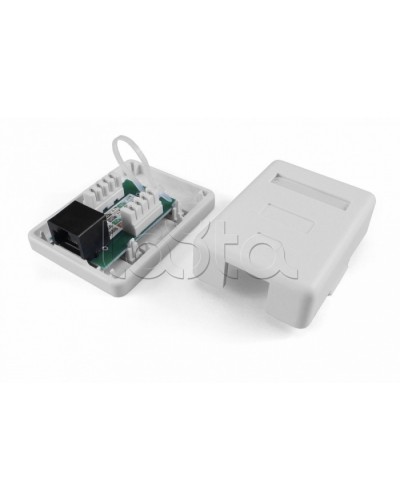 Розетка компьютерная RJ-45(8P8C) Hyperline SB1-2-8P8C-C6-SH-WH в Прокопьевске Розетки компьютерные и телефонные Pintop.ru