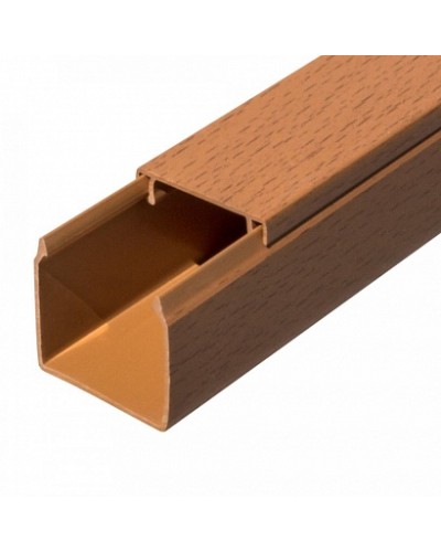 Кабель-канал бук 2-й замок в п/э 40х40 (24 м/уп) Промрукав (PR03.0201) в Прокопьевске Огнестойкие кабельные линии Pintop.ru