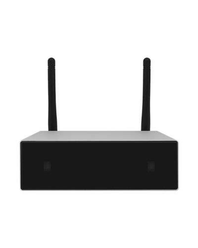 Усилитель потоковой передачи WIFI DSPPA DW-0250 в Прокопьевске Система оповещения и трансляции Dsppa Pintop.ru