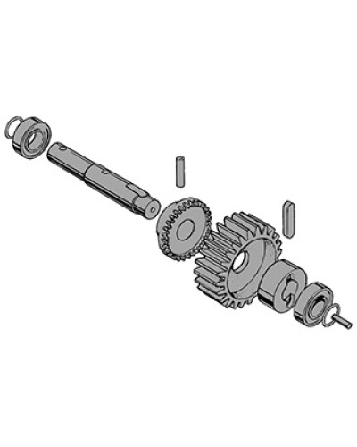 Вал в сборе C-BY Came 119RIC031 в Прокопьевске Запчасти для шлагбаумов и автоматики Pintop.ru