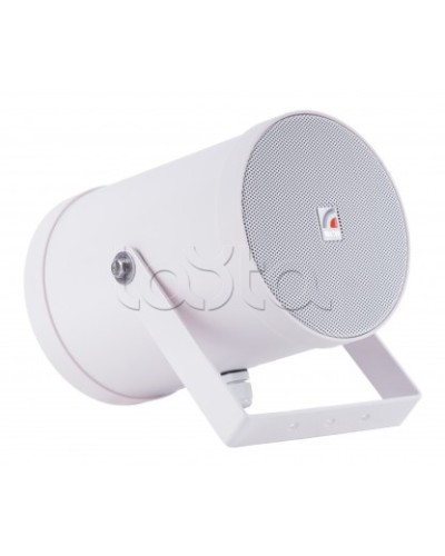 Двунаправленный Прожектор звуковой ROXTON SW-10T2 в Прокопьевске Система оповещения и трансляции Roxton Pintop.ru