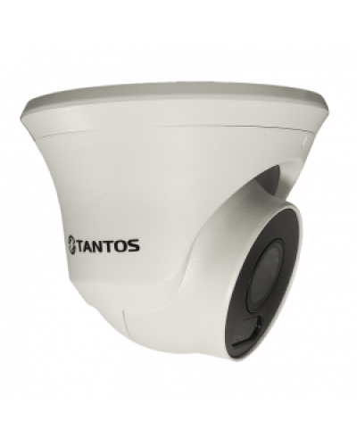 IP-видеокамера в купольном исполнении уличная Tantos TSi-Beco45FP в Прокопьевске IP-камеры Pintop.ru