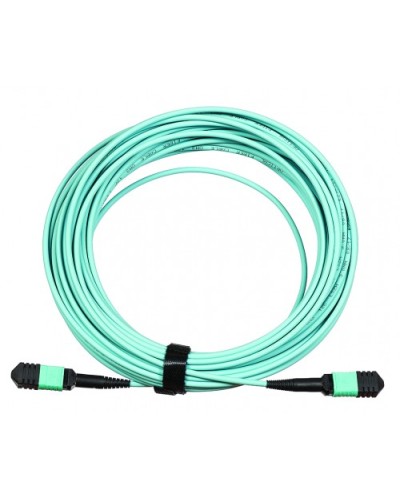 Сборка кабельная LANMASTER (LAN-12M-12M/OM3B-1.0) в Прокопьевске Коннекторы Pintop.ru