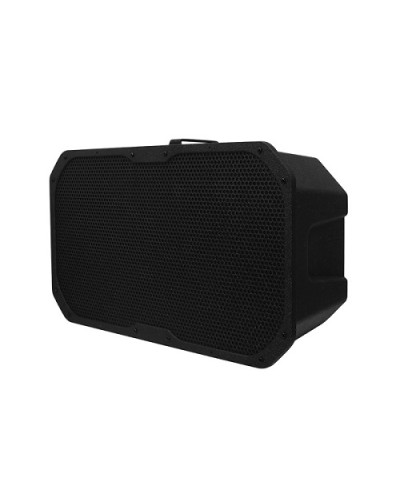 Акустическое устройство DSPPA LRAS-1830 в Прокопьевске Система оповещения и трансляции Dsppa Pintop.ru