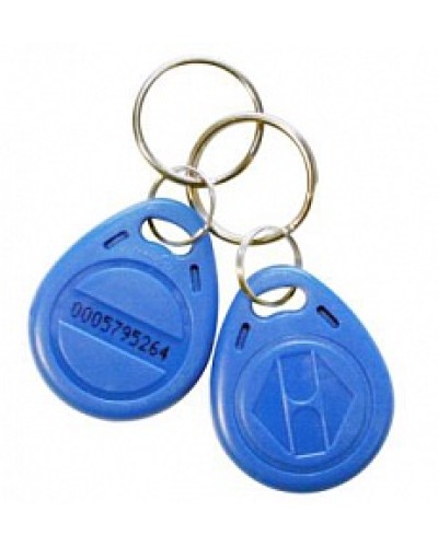 Идентификатор Ростов-Дон Брелок Em-Marin (нанесение логотипа) в Прокопьевске Оптовые идентификаторы Pintop.ru