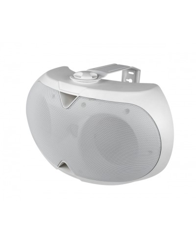 Громкоговоритель настенный 2-х полосный VOLTA ELLIPSE-2440TW в Прокопьевске Система оповещения и трансляции Volta Pintop.ru