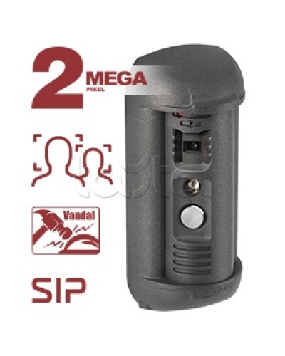 Панель вызывная Beward DSN85017P-FC1 в Прокопьевске Вызывные IP панели Pintop.ru