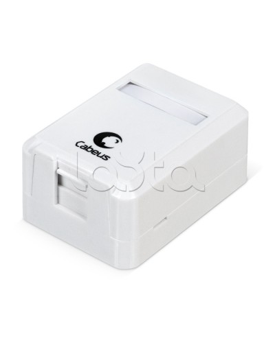 Корпус внешней настенной розетки на 1 Keystone Cabeus MB-1 в Прокопьевске Дополнительное оборудование для сетей Pintop.ru