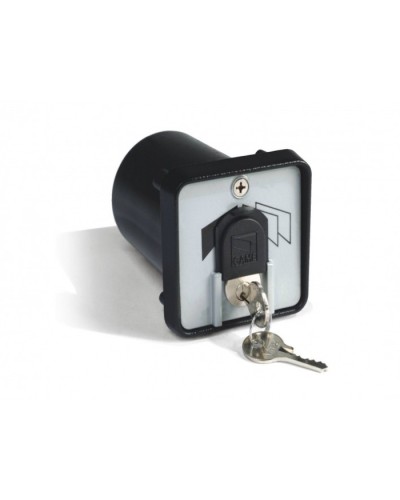 Ключ-выключатель с защитой цилиндра, встраиваемый Came 001SET-K в Прокопьевске Запчасти для шлагбаумов и автоматики Pintop.ru