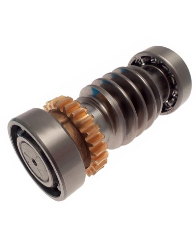 Червяк FROG Came 119RIA016 в Прокопьевске Запчасти для шлагбаумов и автоматики Pintop.ru