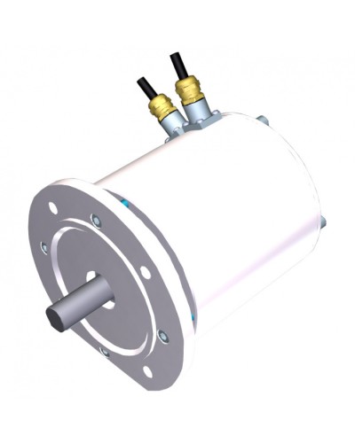 Электродвигатель FROG-MS Came 119RIA081 в Прокопьевске Запчасти для шлагбаумов и автоматики Pintop.ru