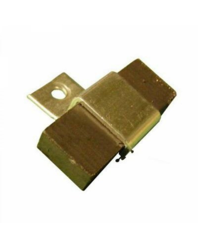 Магнит FROG AE Came 119RIA083 в Прокопьевске Запчасти для шлагбаумов и автоматики Pintop.ru