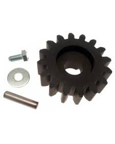 Шестерня для цепной передачи Came 119RIBK036 в Прокопьевске Запчасти для шлагбаумов и автоматики Pintop.ru