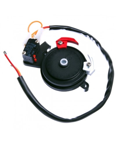 Концевые микровыключатели в сборе BX-243 Came 119RIBX041 в Прокопьевске Запчасти для шлагбаумов и автоматики Pintop.ru