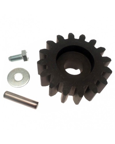 Шестерня ведущая BZ Came 119RIBZ005 в Прокопьевске Запчасти для шлагбаумов и автоматики Pintop.ru