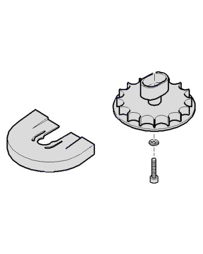 Шестеренка для C001 Came 119RICX004 в Прокопьевске Запчасти для шлагбаумов и автоматики Pintop.ru