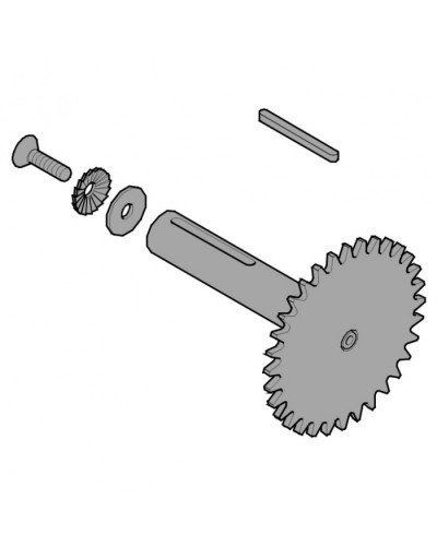 Звездочка C003 C004 C005 Came 119RICX013 в Прокопьевске Запчасти для шлагбаумов и автоматики Pintop.ru