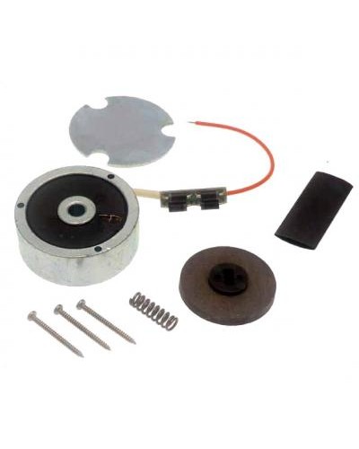 Электромагнит ATI 24 в сборе Came 119RID140 в Прокопьевске Запчасти для шлагбаумов и автоматики Pintop.ru