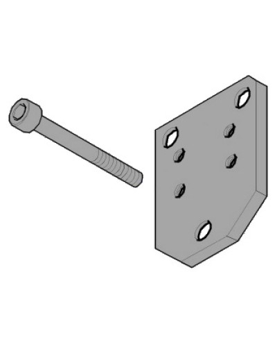 Пластина монтажная FLEX Came 119RID143 в Прокопьевске Запчасти для шлагбаумов и автоматики Pintop.ru