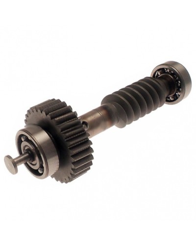 Червяк редуктора FAST в сборе Came 119RID228 в Прокопьевске Запчасти для шлагбаумов и автоматики Pintop.ru