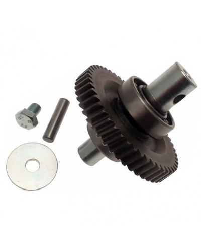 Шестерня редуктора FAST в сборе Came 119RID229 в Прокопьевске Запчасти для шлагбаумов и автоматики Pintop.ru