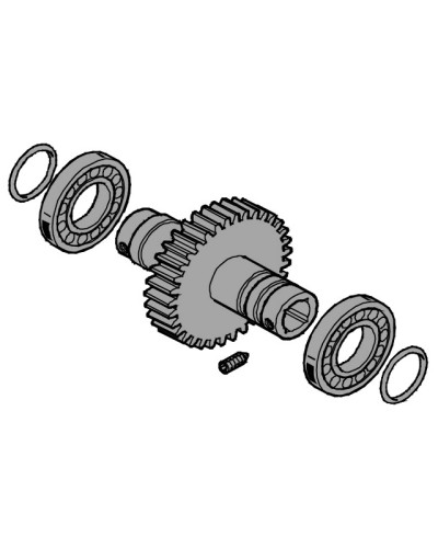 Вал выходной EMEGA Came 119RIE062 в Прокопьевске Запчасти для шлагбаумов и автоматики Pintop.ru