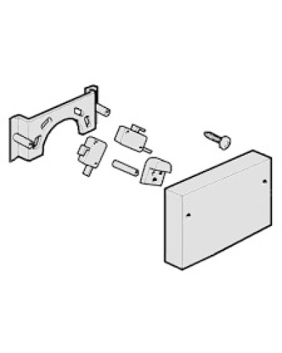 Микровыключатели G4000, G3750 Came 119RIG040 в Прокопьевске Запчасти для шлагбаумов и автоматики Pintop.ru