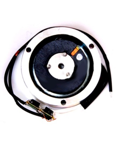 Электромагнит BY1500T Came 119RIY034 в Прокопьевске Запчасти для шлагбаумов и автоматики Pintop.ru