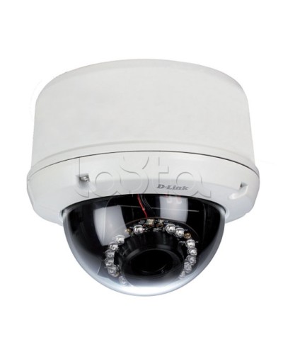IP-камера видеонаблюдения уличная купольная D-Link DCS-6510/EP в Прокопьевске IP-камеры Pintop.ru