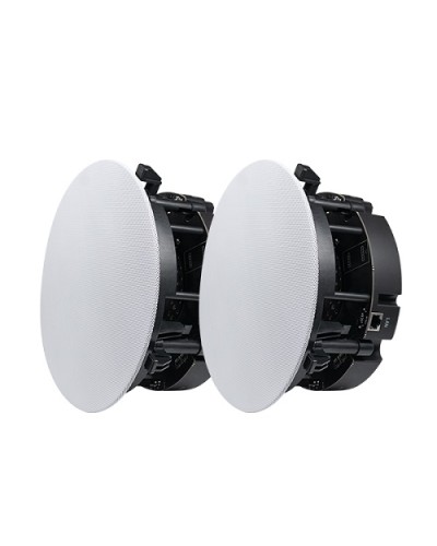 Двухполосный потолочный динамик DSPPA DW-2235 в Прокопьевске Система оповещения и трансляции Dsppa Pintop.ru