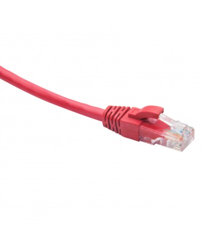 Шнур коммутационный U/UTP категория 5e LSZH нг(А)-HF 0,5 м, красный Datarex DR-181305 в Прокопьевске Патчкорды (медные) Pintop.ru