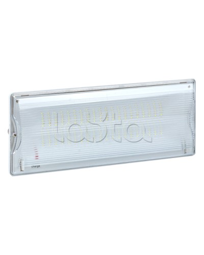 Светильник аварийного освещения SAFEWAY-40 LED EKF Proxima (dpa-202) в Прокопьевске Светильники Pintop.ru