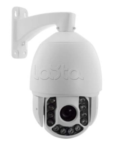 IP-камера видеонаблюдения купольная EverFocus ACE-ATE2033 в Прокопьевске IP-камеры Pintop.ru