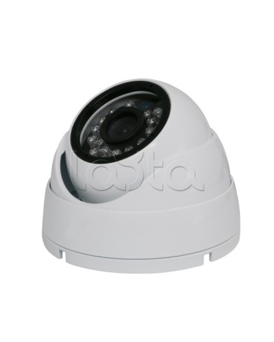 Камера видеонаблюдения купольная EverFocus ACE-IAB20XHD в Прокопьевске Аналоговые камеры Pintop.ru