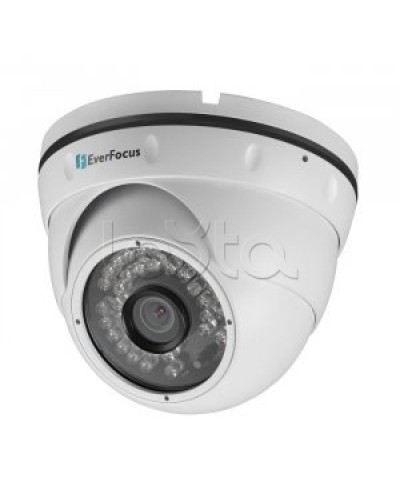 IP-камера видеонаблюдения купольная EverFocus ACE-IAV30 в Прокопьевске IP-камеры Pintop.ru
