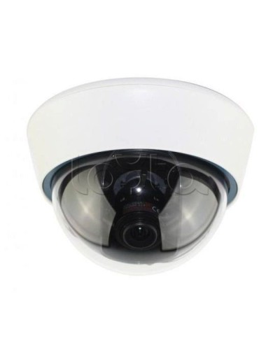 IP-камера видеонаблюдения купольная EverFocus ACE-IOV20A в Прокопьевске IP-камеры Pintop.ru