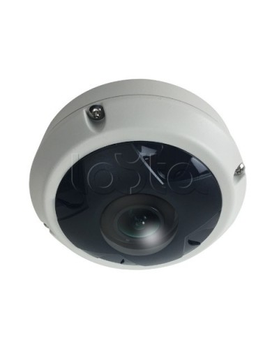 IP-камера видеонаблюдения купольная EverFocus ACE-KU89F в Прокопьевске IP-камеры Pintop.ru