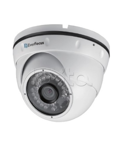IP-камера видеонаблюдения уличная купольная EverFocus EBN-268 в Прокопьевске IP-камеры Pintop.ru