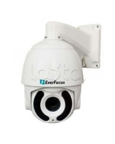 Камера видеонаблюдения поворотная купольная EverFocus EPA-6220 в Прокопьевске Аналоговые камеры Pintop.ru