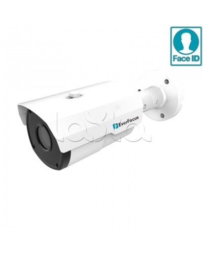 IP-камера видеонаблюдения в стандартном исполнении EverFocus EZN-2850 в Прокопьевске IP-камеры Pintop.ru