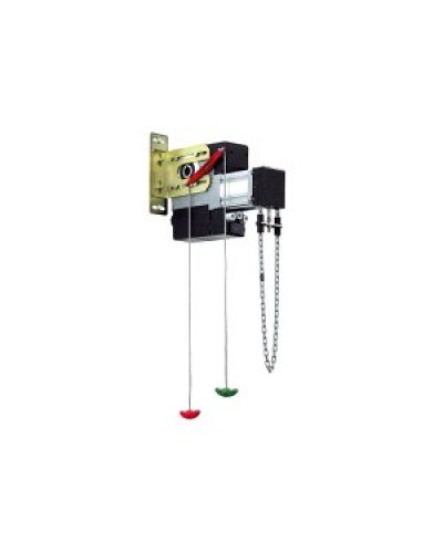 Редуктор цепной (лебедка) для приводов 540, 541 серий Faac 390746 в Прокопьевске Запчасти для шлагбаумов и автоматики Pintop.ru