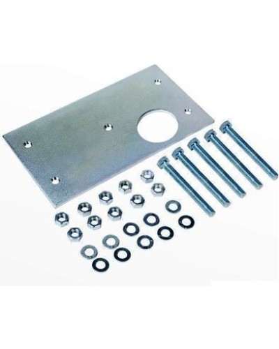 Пластина монтажная с анкерами для С850 Faac 737850 в Прокопьевске Запчасти для шлагбаумов и автоматики Pintop.ru