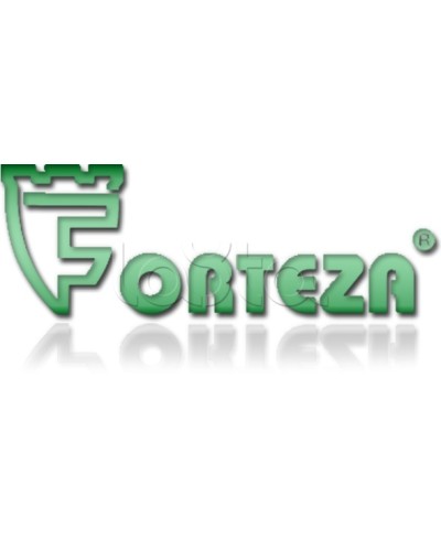 Плата сменная Forteza Плата БГр-4 в Прокопьевске Устройства защиты операционных процессоров (ОПС) Pintop.ru