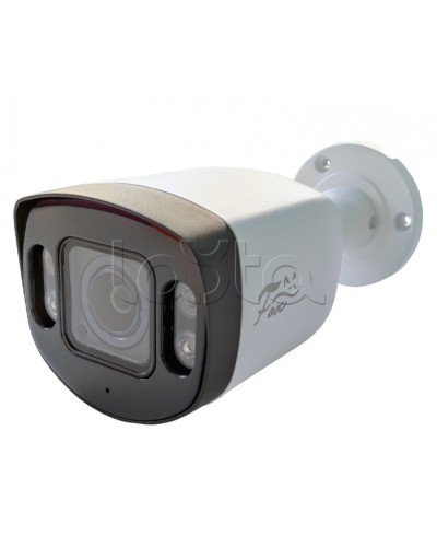 IP-камера видеонаблюдения в стандартном исполнении Fox FX-IPC-C40AP-IR H.265 AI в Прокопьевске IP-камеры Pintop.ru